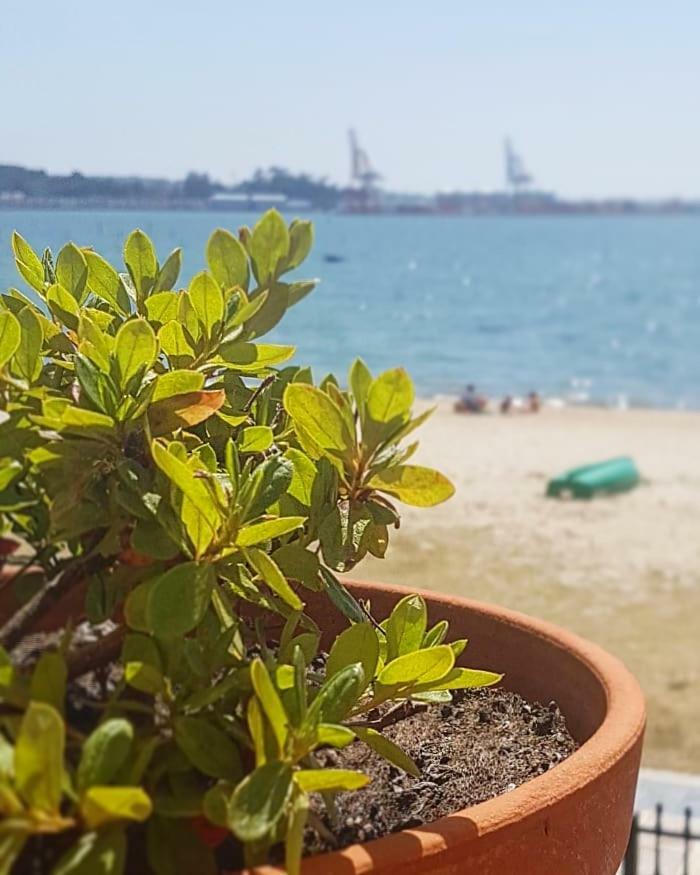 Casa Villa Vilagarcia de Arousa Bagian luar foto